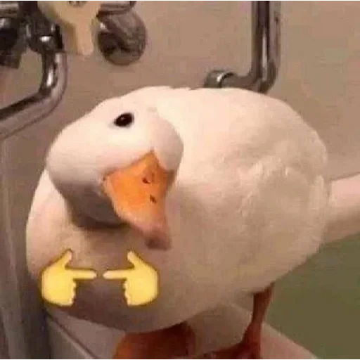 no 🚫 context 📃 — 13