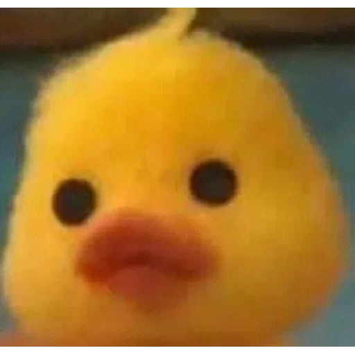 no 🚫 context 📃 — 15