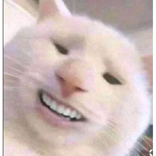 no 🚫 context 📃 — 28