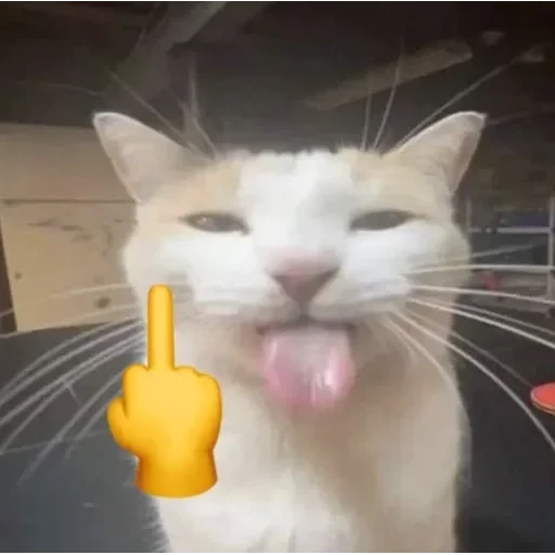 no 🚫 context 📃 — 37