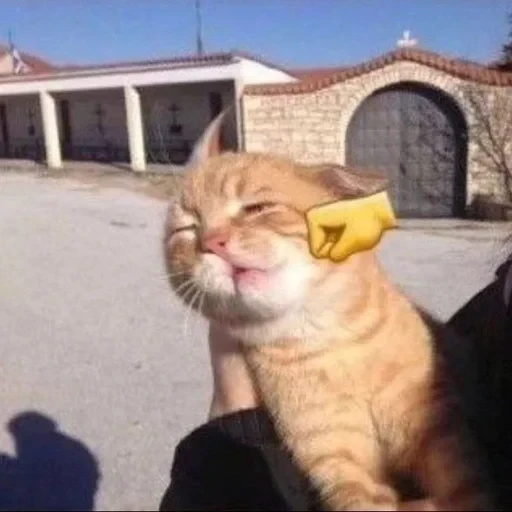 no 🚫 context 📃 — 38