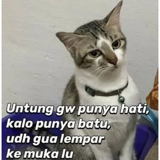 no 🚫 context 📃 — 6