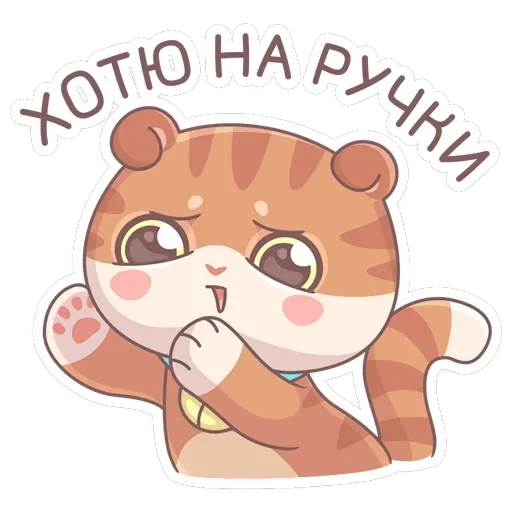 Нори — 20