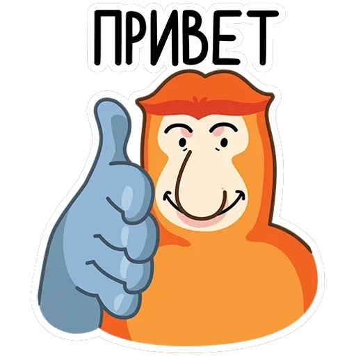 Носач — 29