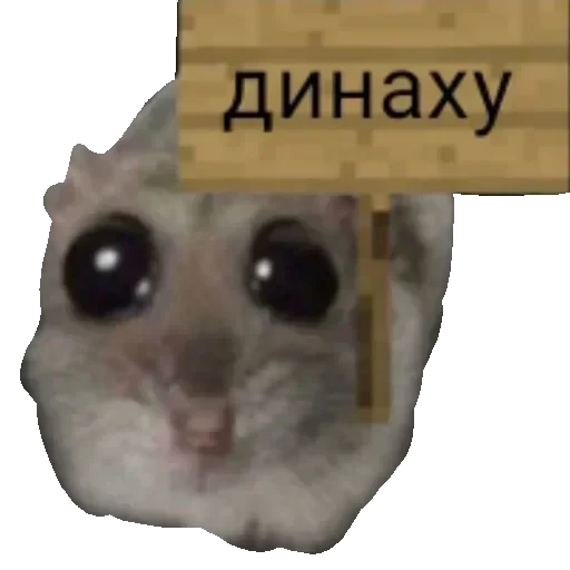 Новые стикеры в — 17