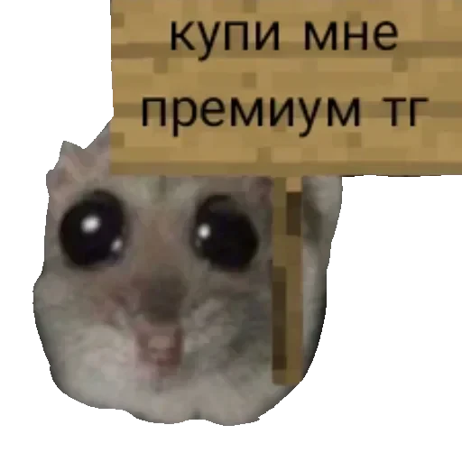 Новые стикеры в — 53
