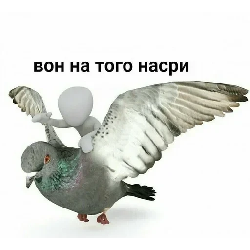 Новые стикеры в — 37