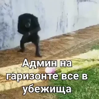 Новые стикеры в — 12