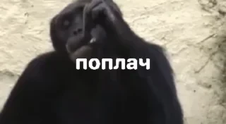 Новые стикеры в — 15