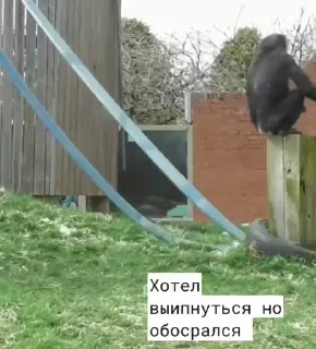 Новые стикеры в — 31