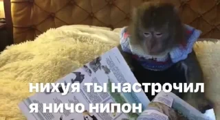 Новые стикеры в — 34