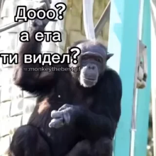 Новые стикеры в — 40