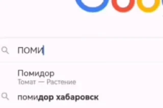 Новые стикеры в — 43