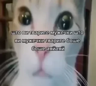 Новые стикеры в — 45