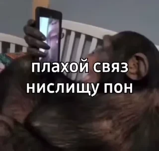 Новые стикеры в — 10