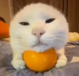 Новые стикеры в