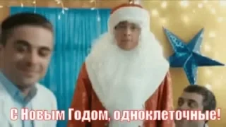 Nurses интерны — 10