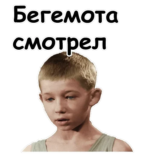 Офицеры — 36