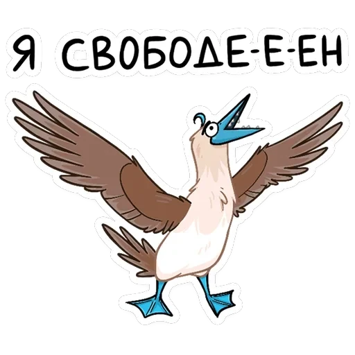 Олуша — 6