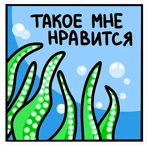 Осьми — 8
