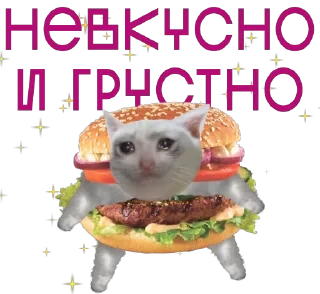 от агентства Новые Новые Медиа — 11