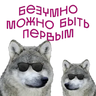от агентства Новые Новые Медиа — 14