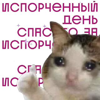 от агентства Новые Новые Медиа — 16