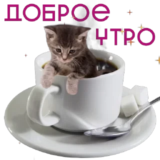 от агентства Новые Новые Медиа — 3