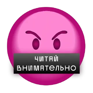 от агентства Новые Новые Медиа — 21
