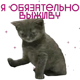 от агентства Новые Новые Медиа — 27