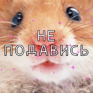 от агентства Новые Новые Медиа — 29
