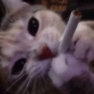 от лерьки 💋💋🎀 — 33