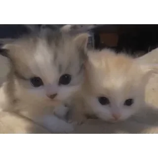 от лерьки 💋💋🎀 — 40
