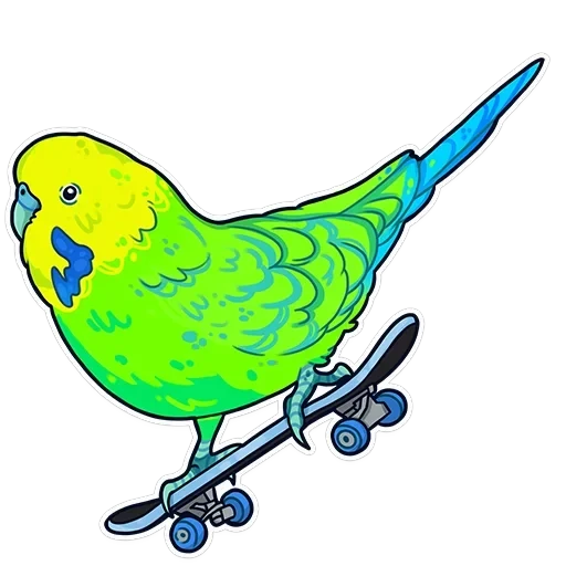 ПАПУГИ — 7