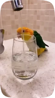 Parrots — 25