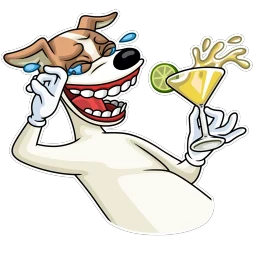 Party Dog