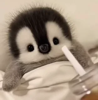 Pegiunus attack 👇 @ok_sticker_bot — 38