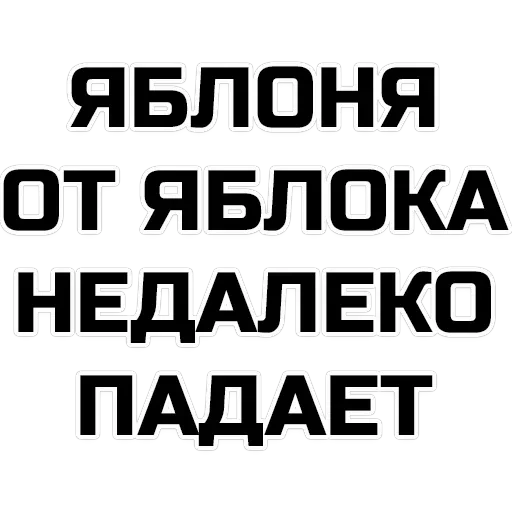 phrases — 4
