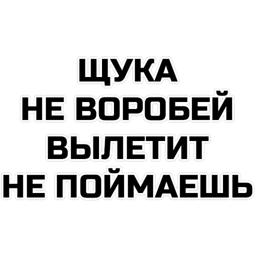 phrases — 5