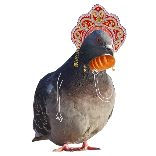 Pigeons with hands — 11