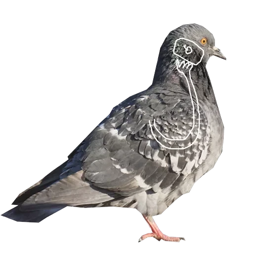Pigeons with hands — 14