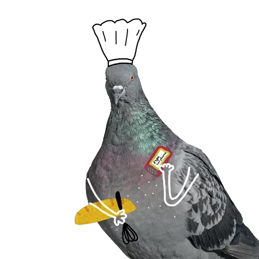Pigeons with hands — 17