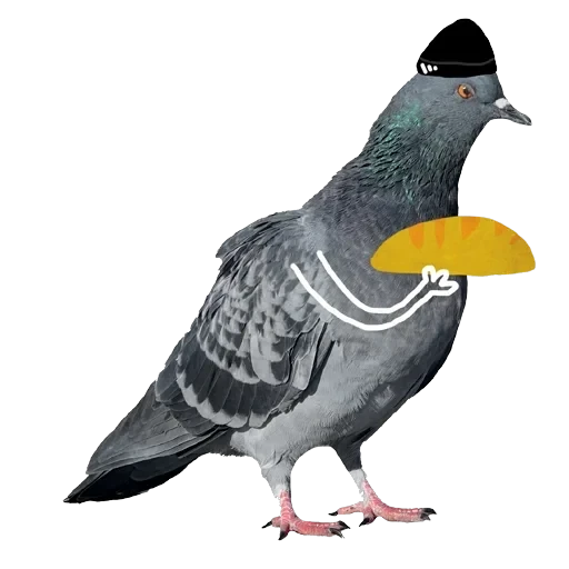 Pigeons with hands — 18