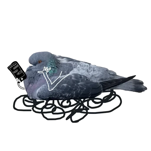 Pigeons with hands — 19