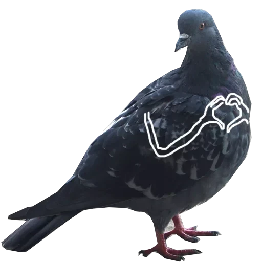 Pigeons with hands — 3