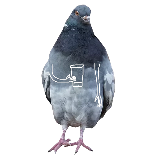 Pigeons with hands — 8