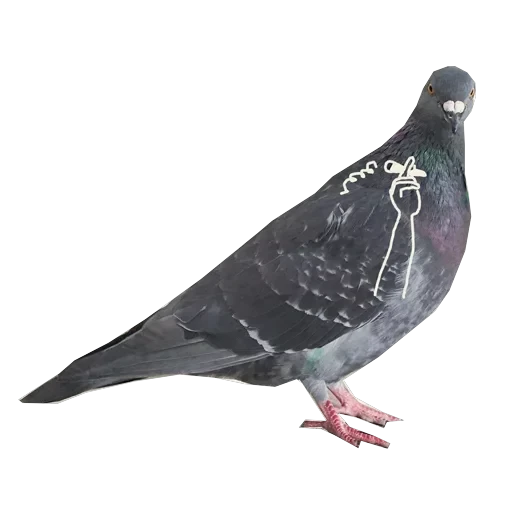 Pigeons with hands — 9