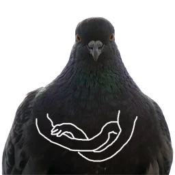 Pigeons with hands