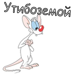 Пинки и Брейн