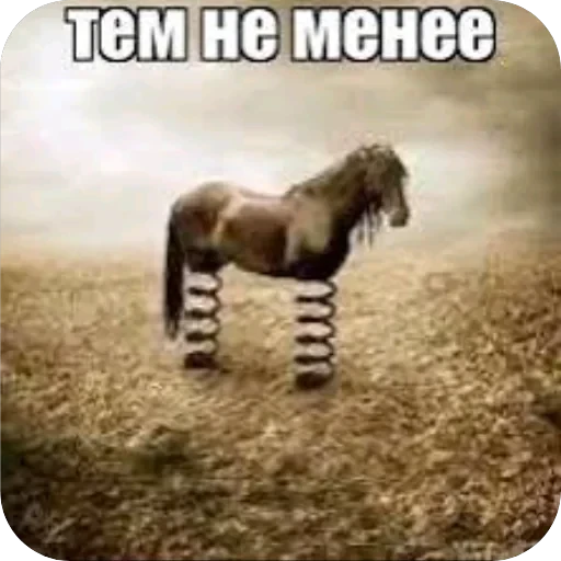 Полезные — 16